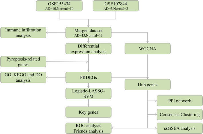 FIGURE 1