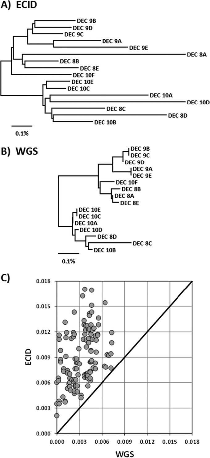 FIG 3