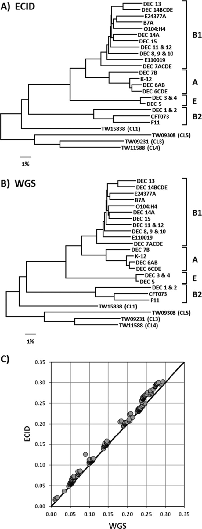 FIG 2