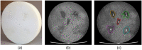 Fig. 3