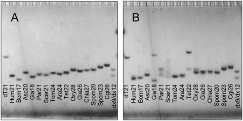 Figure 5.