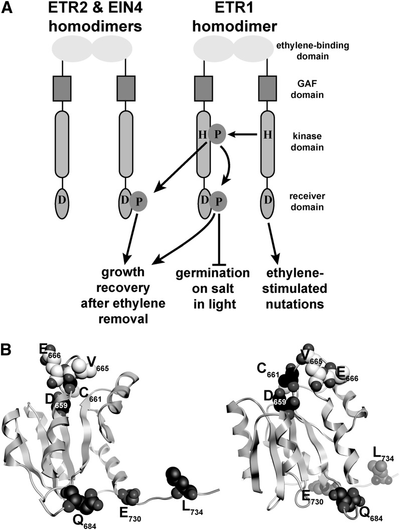 Figure 9.