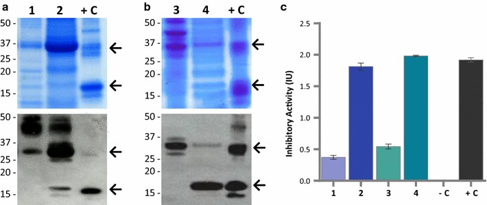 Fig. 6