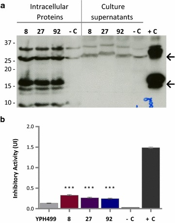 Fig. 3