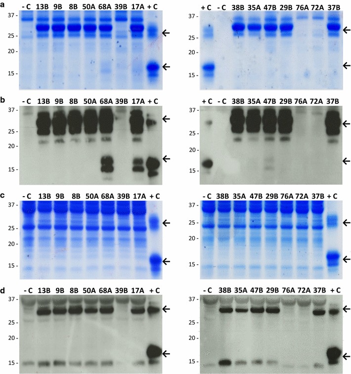 Fig. 4