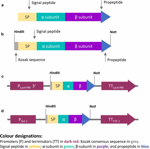 Fig. 1