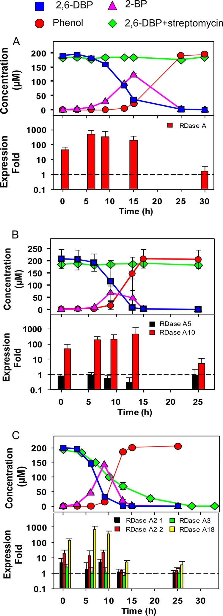 FIG 3