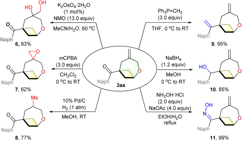 Scheme 4