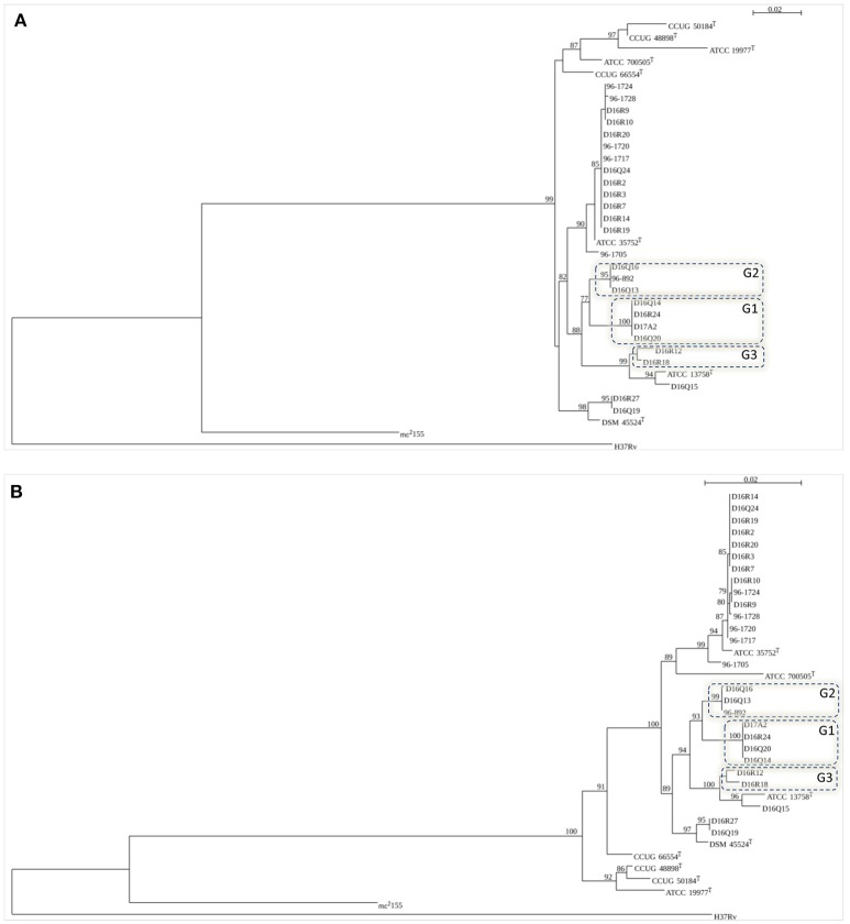 Figure 2