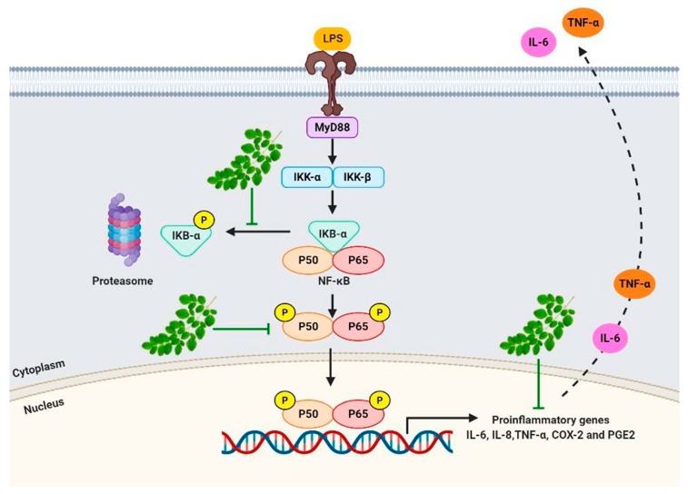 Figure 7