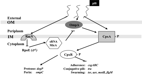 FIG. 4.