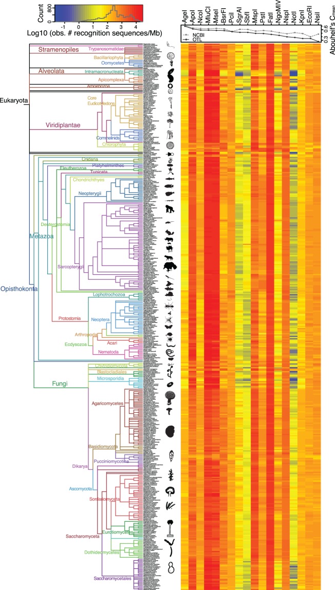 Fig. 1.—