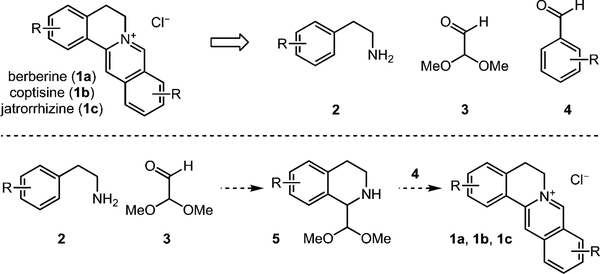 Scheme 2.