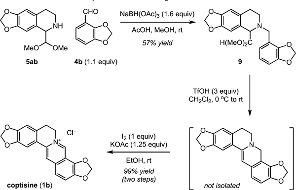 Scheme 5.