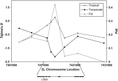 Figure 3.—