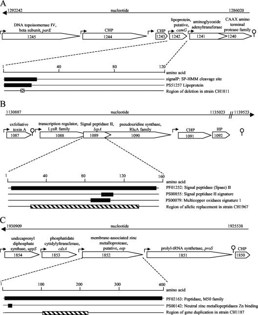 FIG. 2.