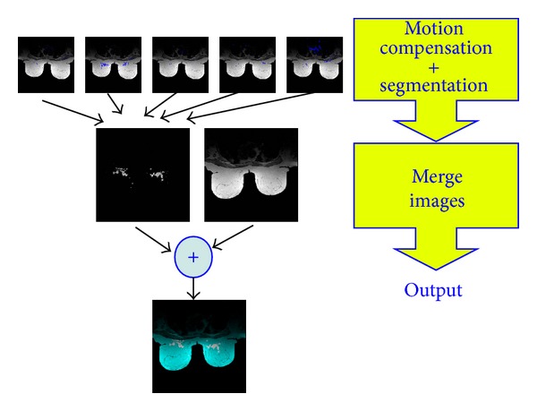 Figure 2