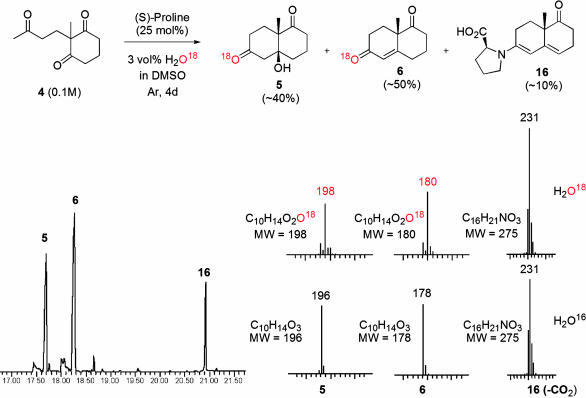 Scheme 4.