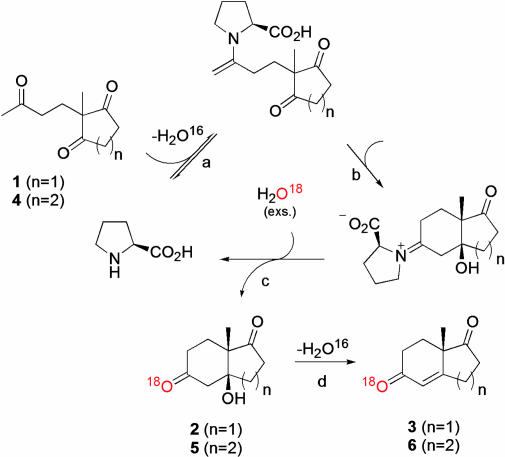 Scheme 3.