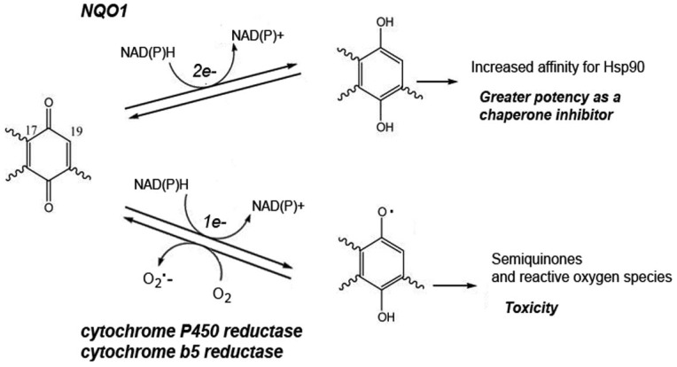 Scheme 1.