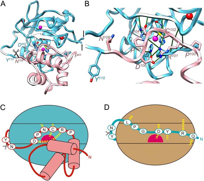 FIGURE 3.