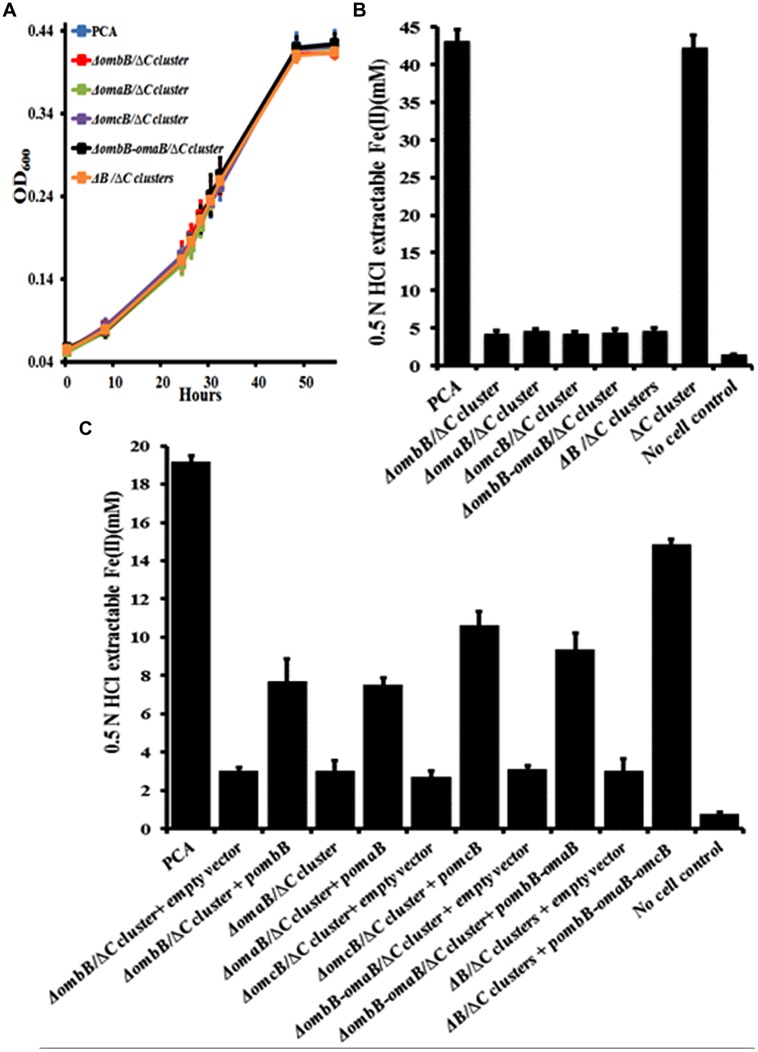 FIGURE 3