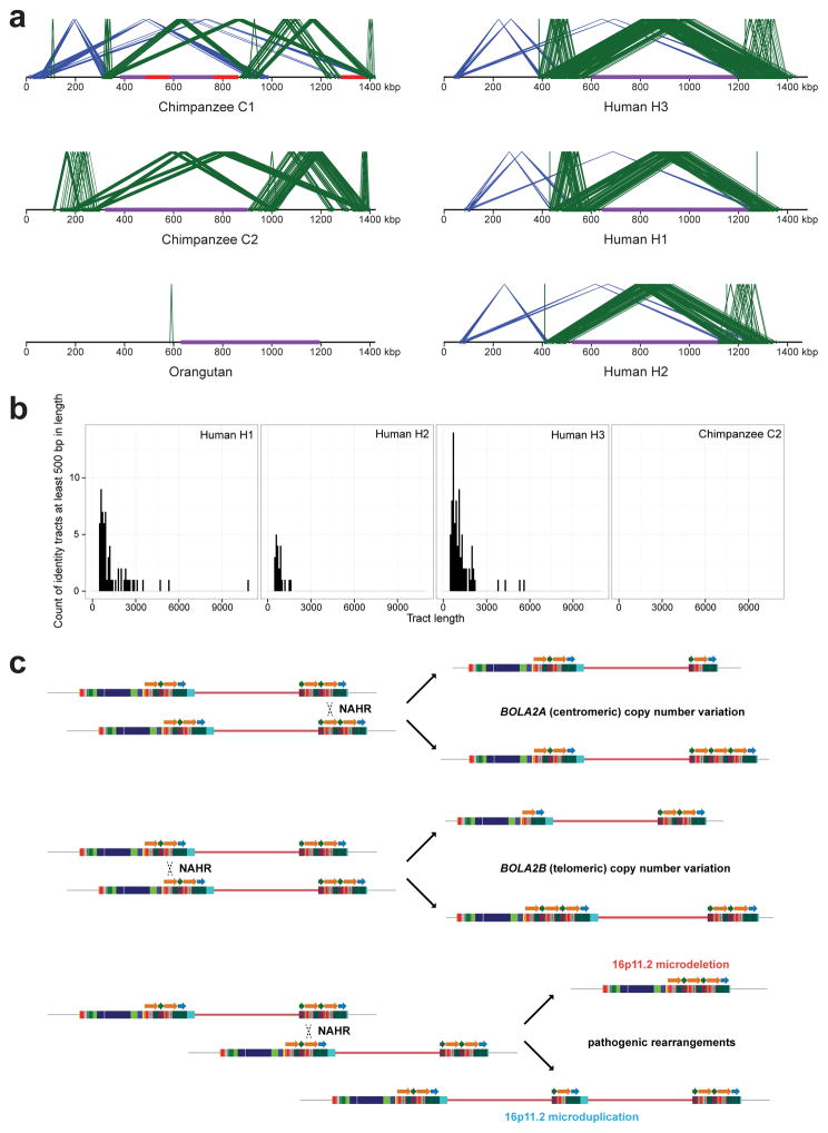 Extended Data Figure 5