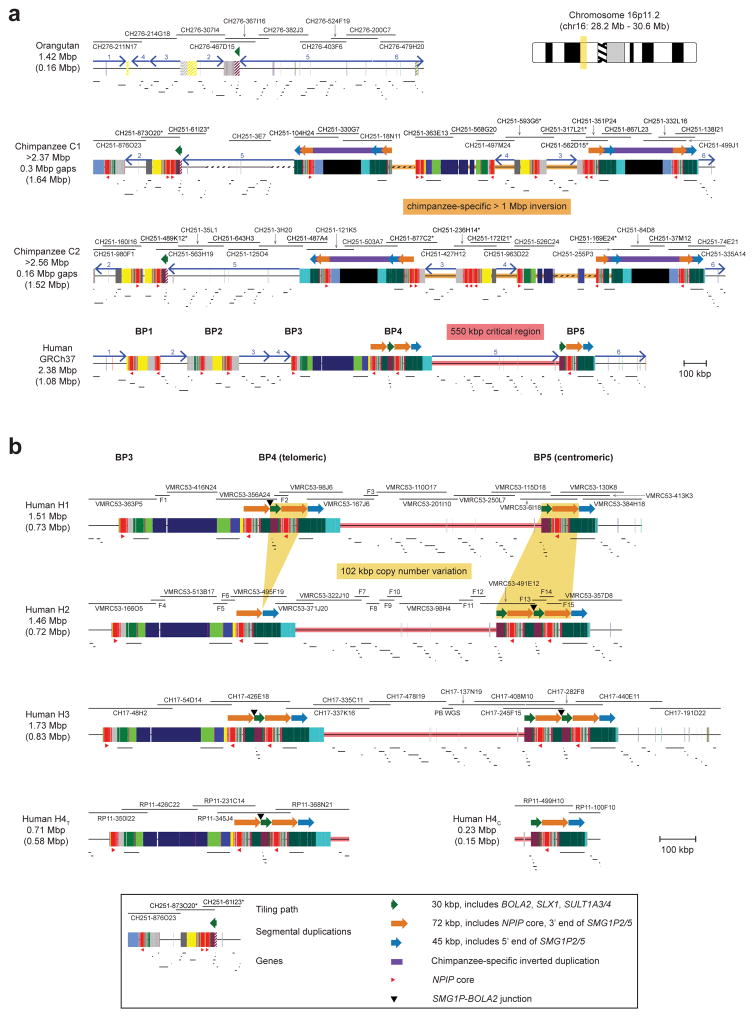 Extended Data Figure 1