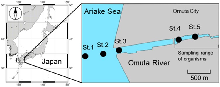 Fig. 1