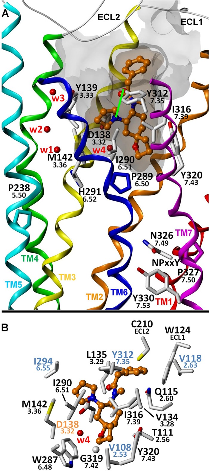 FIGURE 4.