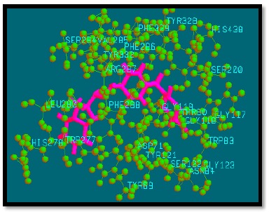 Fig. (9)