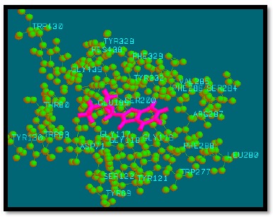 Fig. (10)