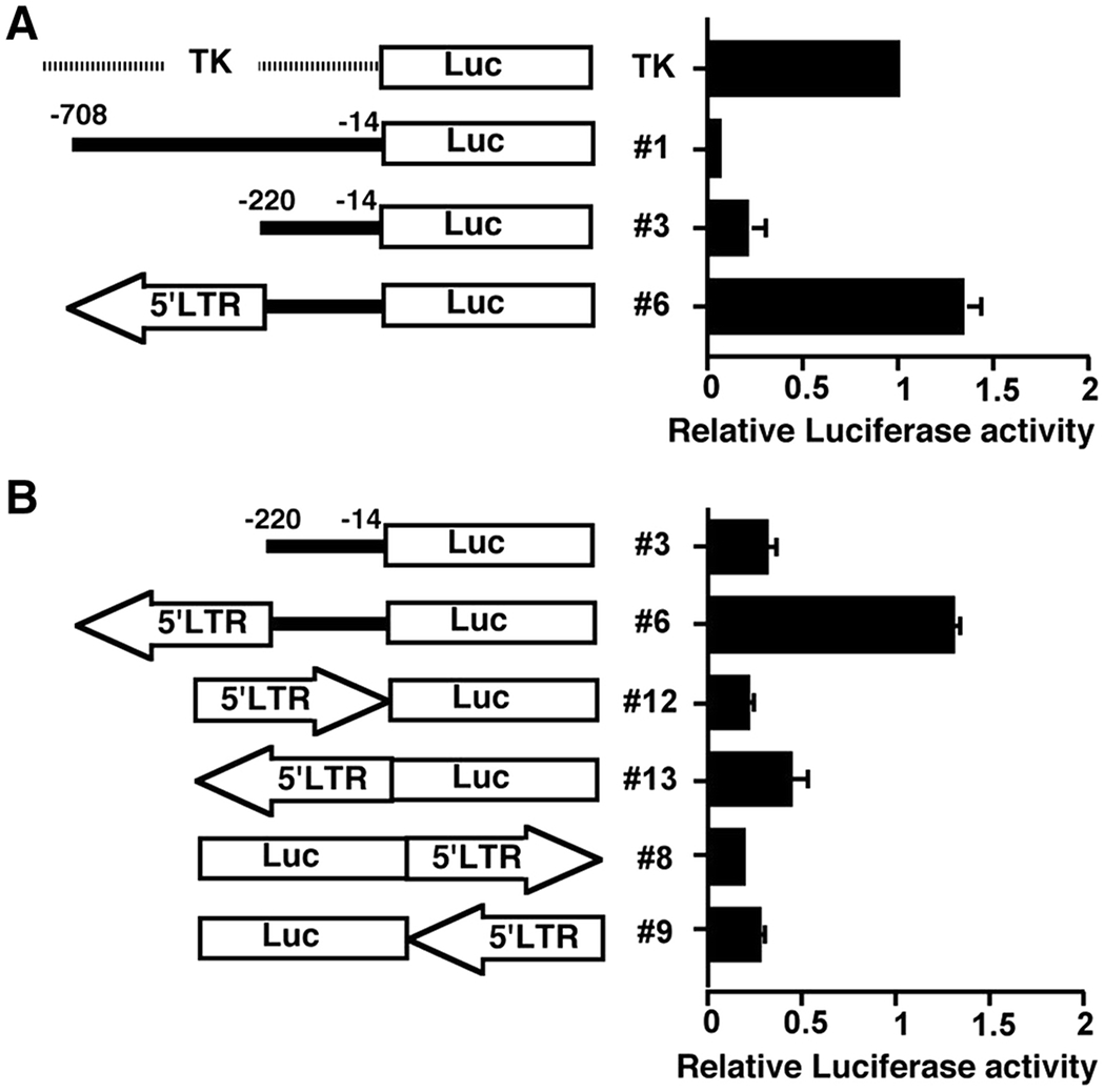 Fig 2.