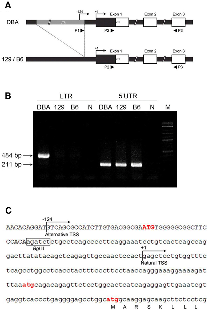 Fig 3.