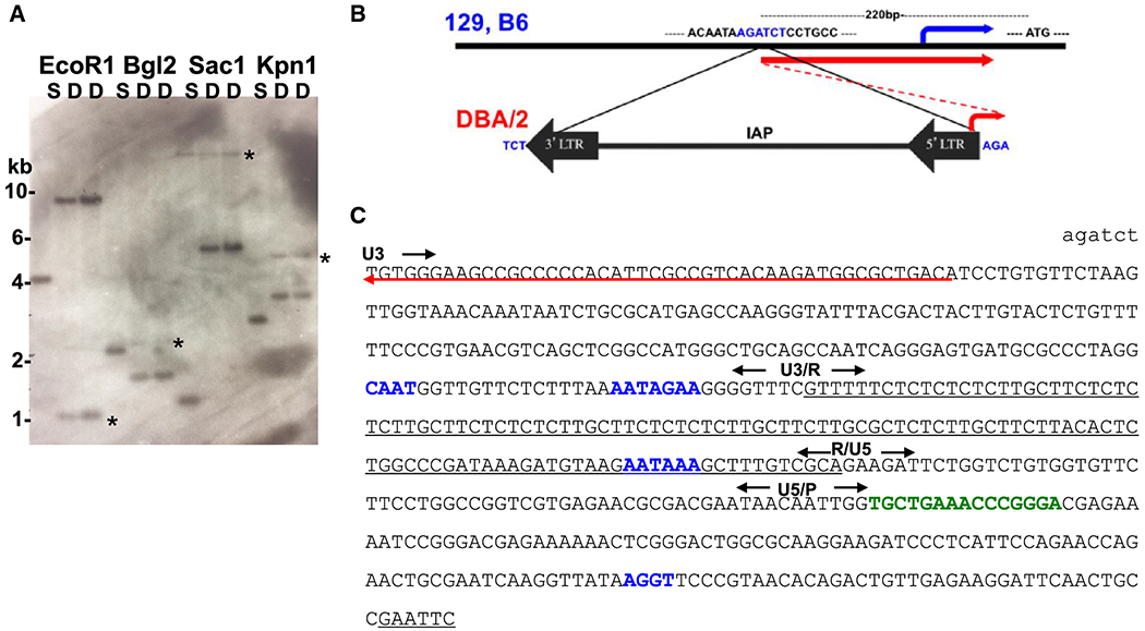 Fig 1.