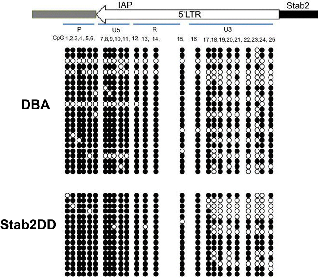 Fig 6.