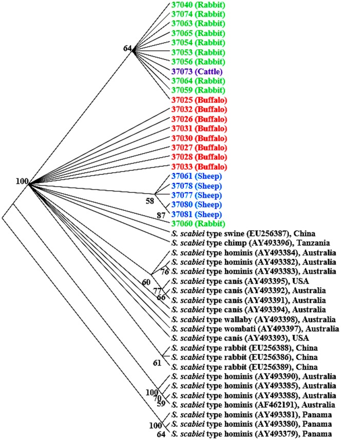 Figure 2