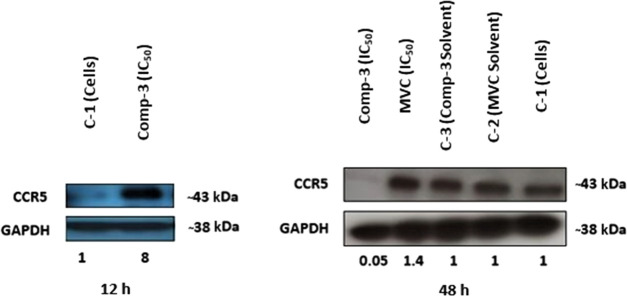 Figure 9