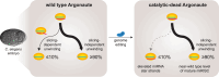 Graphical Abstract