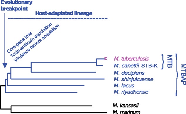 Fig. 6.