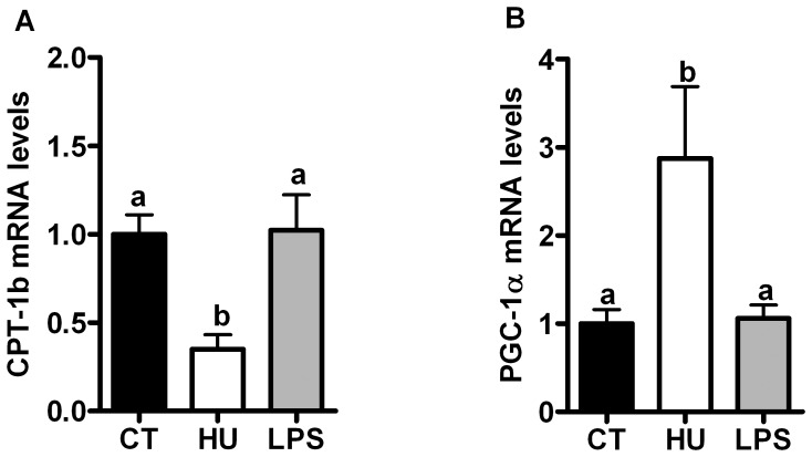 Lipid metabolism marker mRNA levels after chronic CB receptor agonist treatment or LPS treatment.