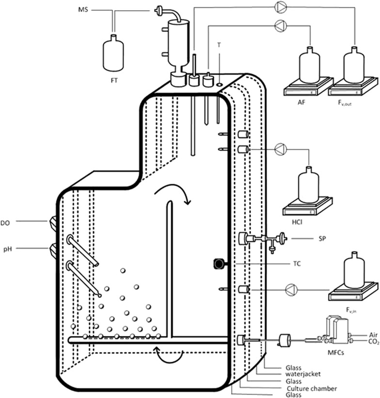 Fig. 5