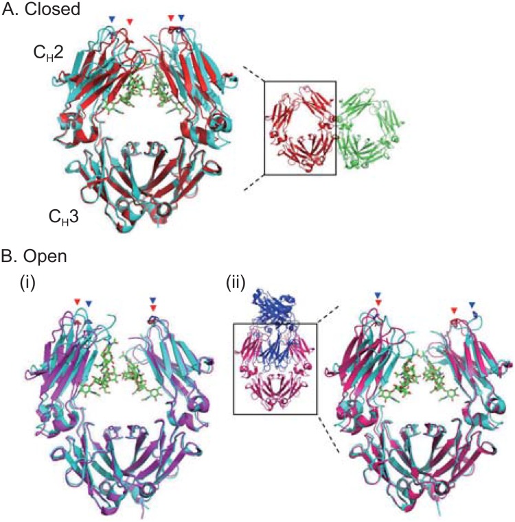 Figure 2