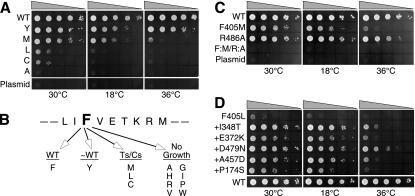 FIG. 2.