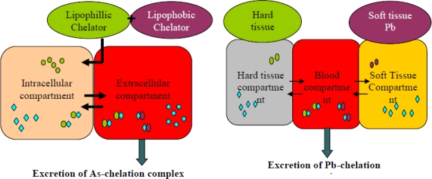 Figure 11.