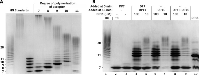 Figure 6.