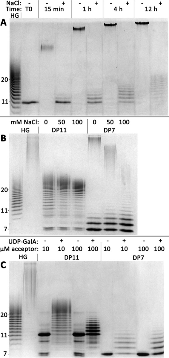 Figure 7.