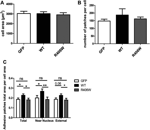 FIGURE 3