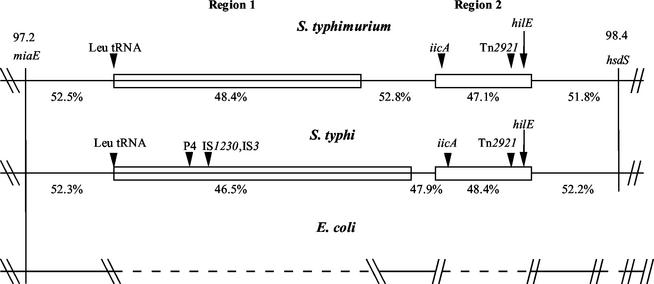 FIG. 8.