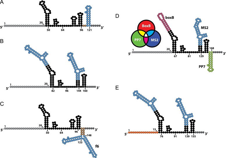 Figure 4.